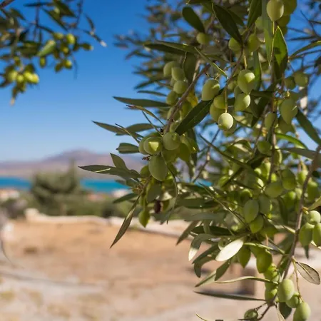 Affittacamere Maniati